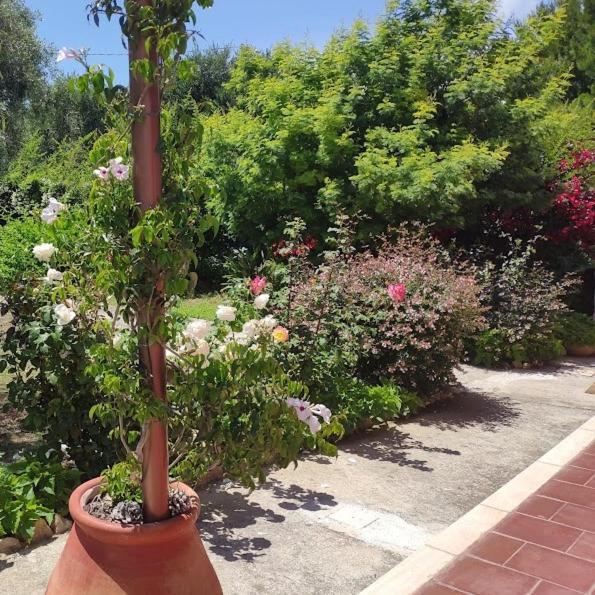 La Casa Di Giada, Appartamento In Villetta Con Aria Condizionata, Wi-Fi E Parcheggio Gratuito Poggi Buitenkant foto